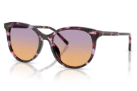 Occhiali sole DOLCE & GABBANA 0DG4540 - 3477EL | B&M Optikal