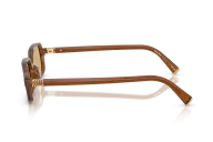 Occhiali sole MIU MIU 0MU 11ZS - 22I10R | B&M Optikal