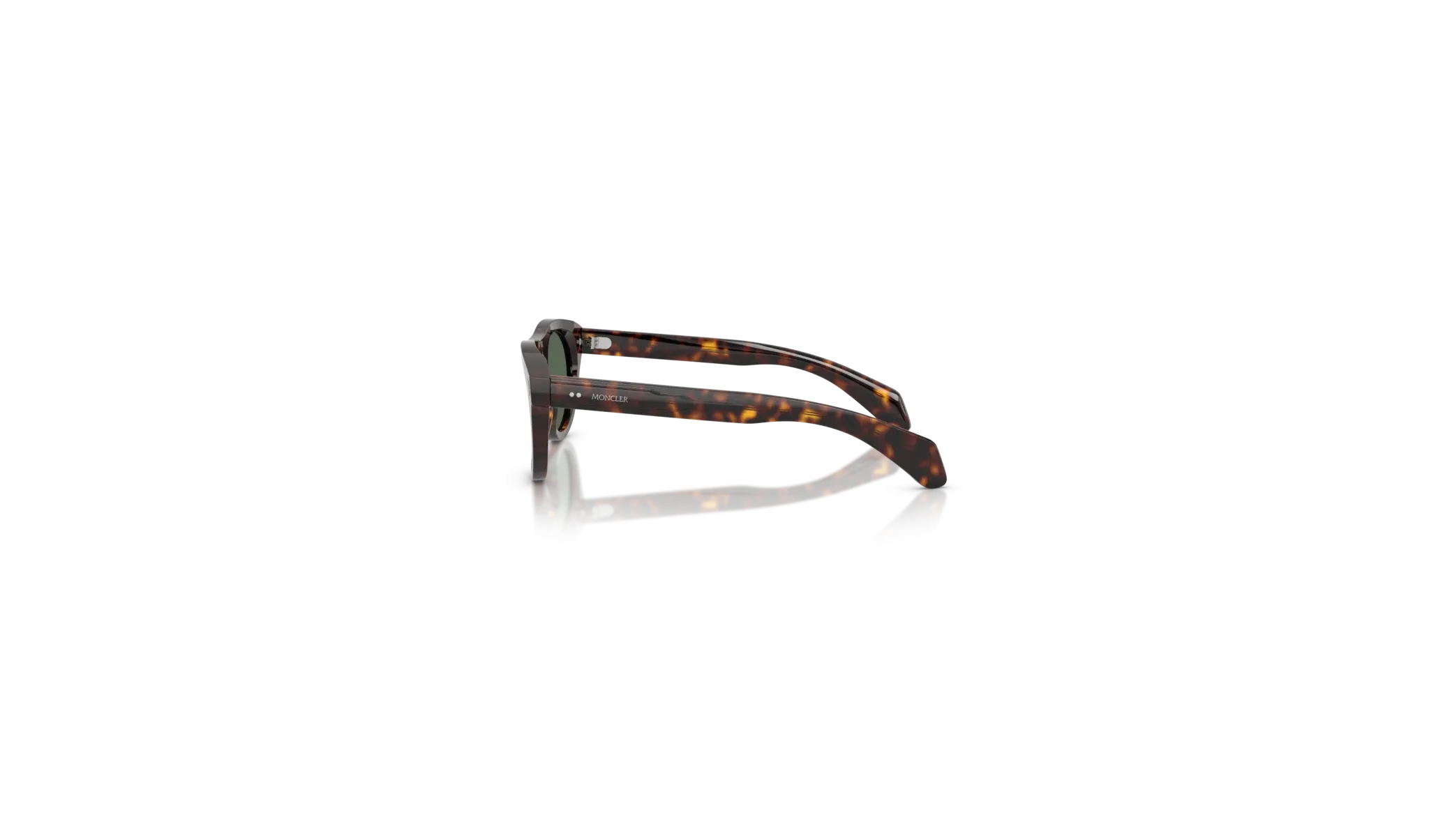 Occhiali sole Moncler Splash ME6022U - 300271 -  Havana - Verde Scuro | B&M Optikal