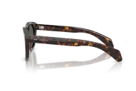 Occhiali sole Moncler Splash ME6022U - 300271 -  Havana - Verde Scuro | B&M Optikal