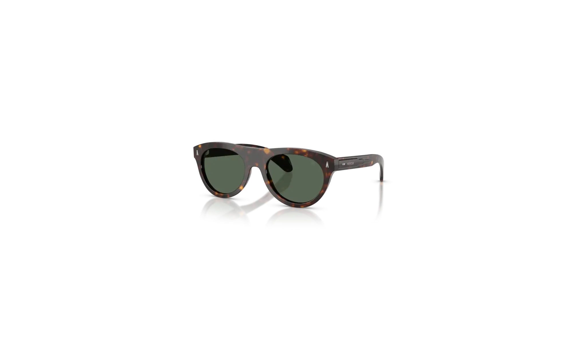 Occhiali sole Moncler Splash ME6022U - 300271 -  Havana - Verde Scuro | B&M Optikal