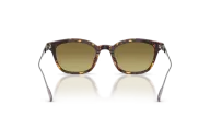 Occhiali sole Moncler Lentis  ME6027D - 30382A -  Havana - Verde| B&M Optikal