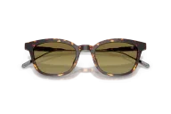 Occhiali sole Moncler Lentis  ME6027D - 30382A -  Havana - Verde| B&M Optikal