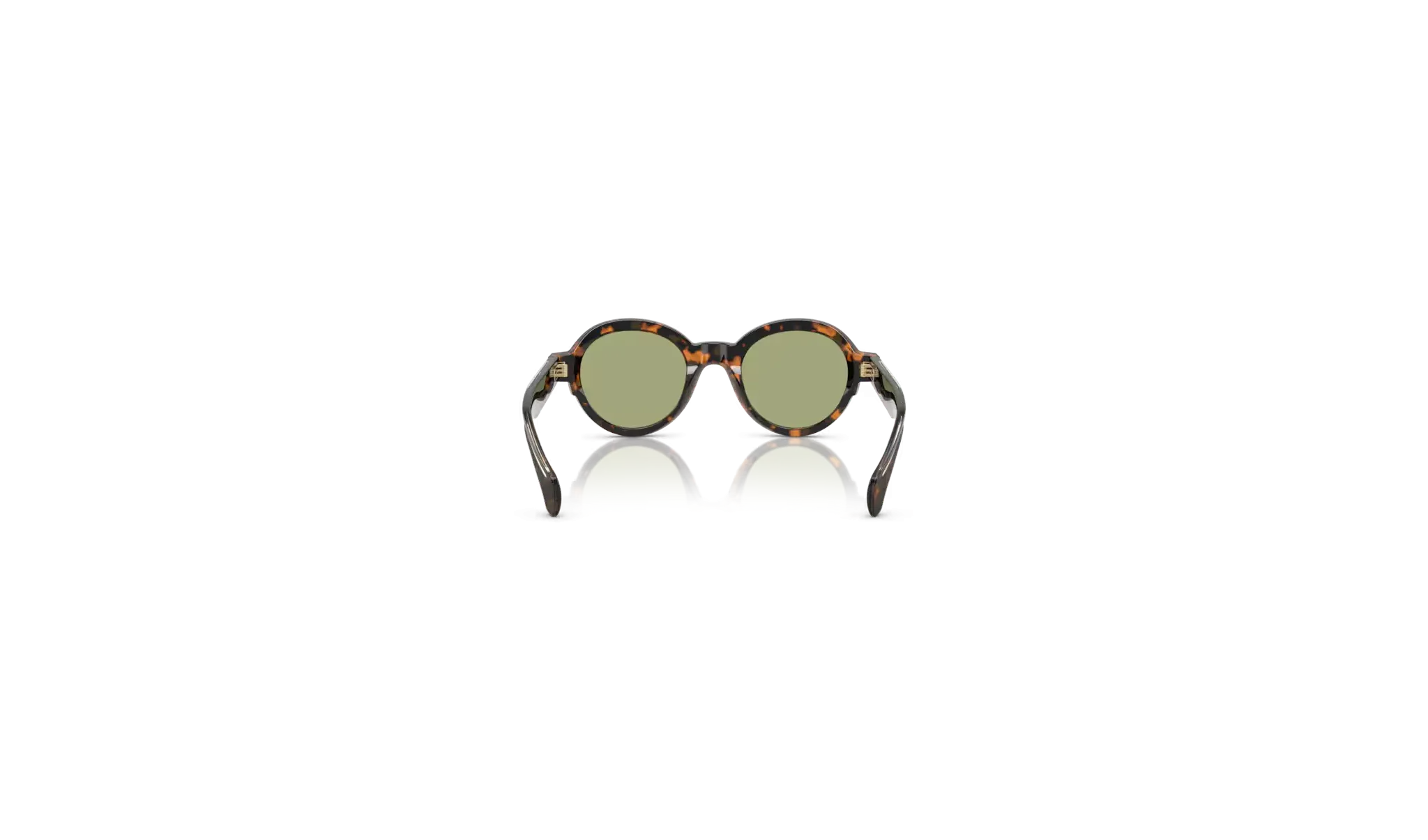 Occhiali sole Moncler Rondosa ME6003 - 300682 - Havana - Verde| B&M Optikal