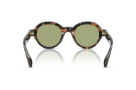 Occhiali sole Moncler Rondosa ME6003 - 300682 - Havana - Verde| B&M Optikal