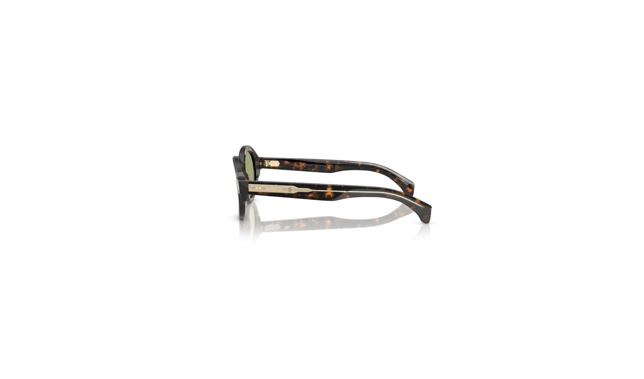 Occhiali sole Moncler Rondosa ME6003 - 300682 - Havana - Verde| B&M Optikal