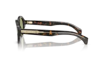 Occhiali sole Moncler Rondosa ME6003 - 300682 - Havana - Verde| B&M Optikal