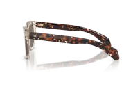 Occhiali sole Moncler Bronzz ME6023 - 30035A - Burro Trasparente - Oro Specchiato| B&M Optikal