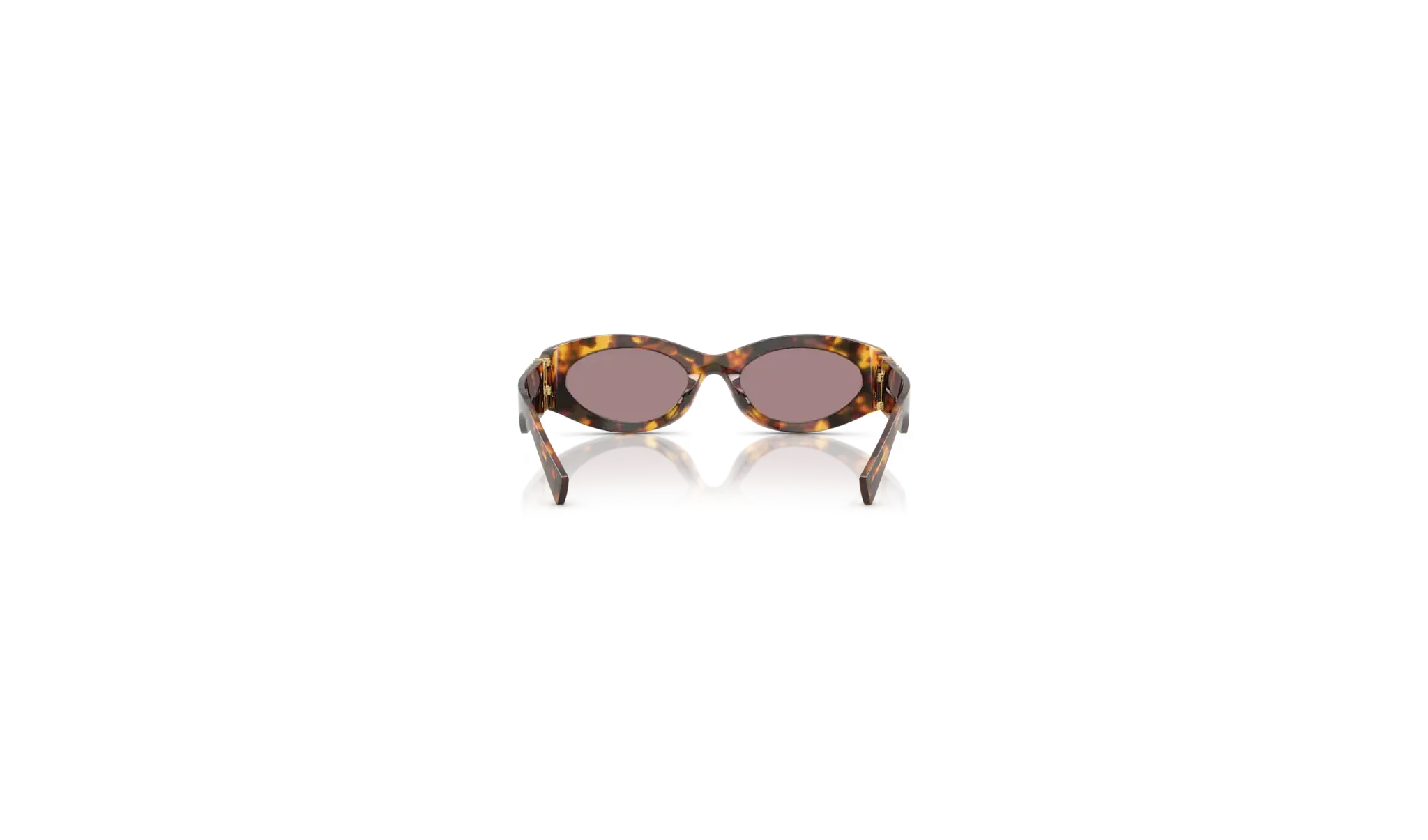 Occhiali sole MIU MIU 0MU 11WS - 14L20I Havana Miele - Viola| B&M Optikal