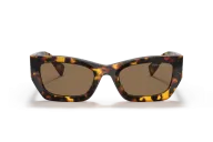 Occhiali da Sole MIU MIU MU09WS - VAU06B Havana Miele - Marrone Scuro | B&M Optikal