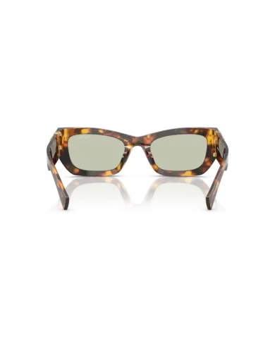 Occhiali da Sole MIU MIU MU09WS - 14L50O Havana Miele - Verde | B&M Optikal