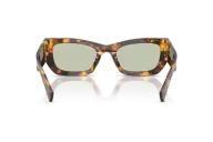 Occhiali da Sole MIU MIU MU09WS - 14L50O Havana Miele - Verde | B&M Optikal