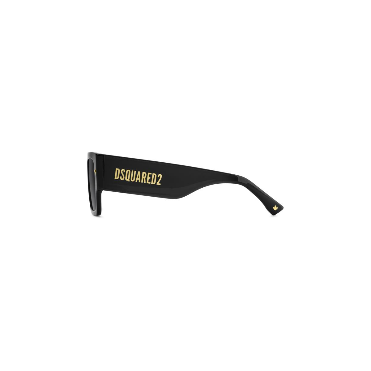 Dsquared2 DSQUARED2 D2 0165/S 807 O | B&M Optikal