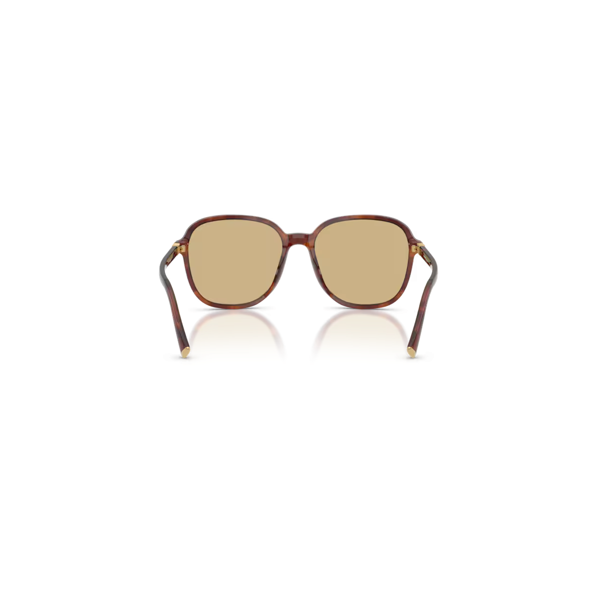 Occhiali da Sole MIU MIU 0MU B01S - 26E10R Avana - Giallo| B&M Optikal