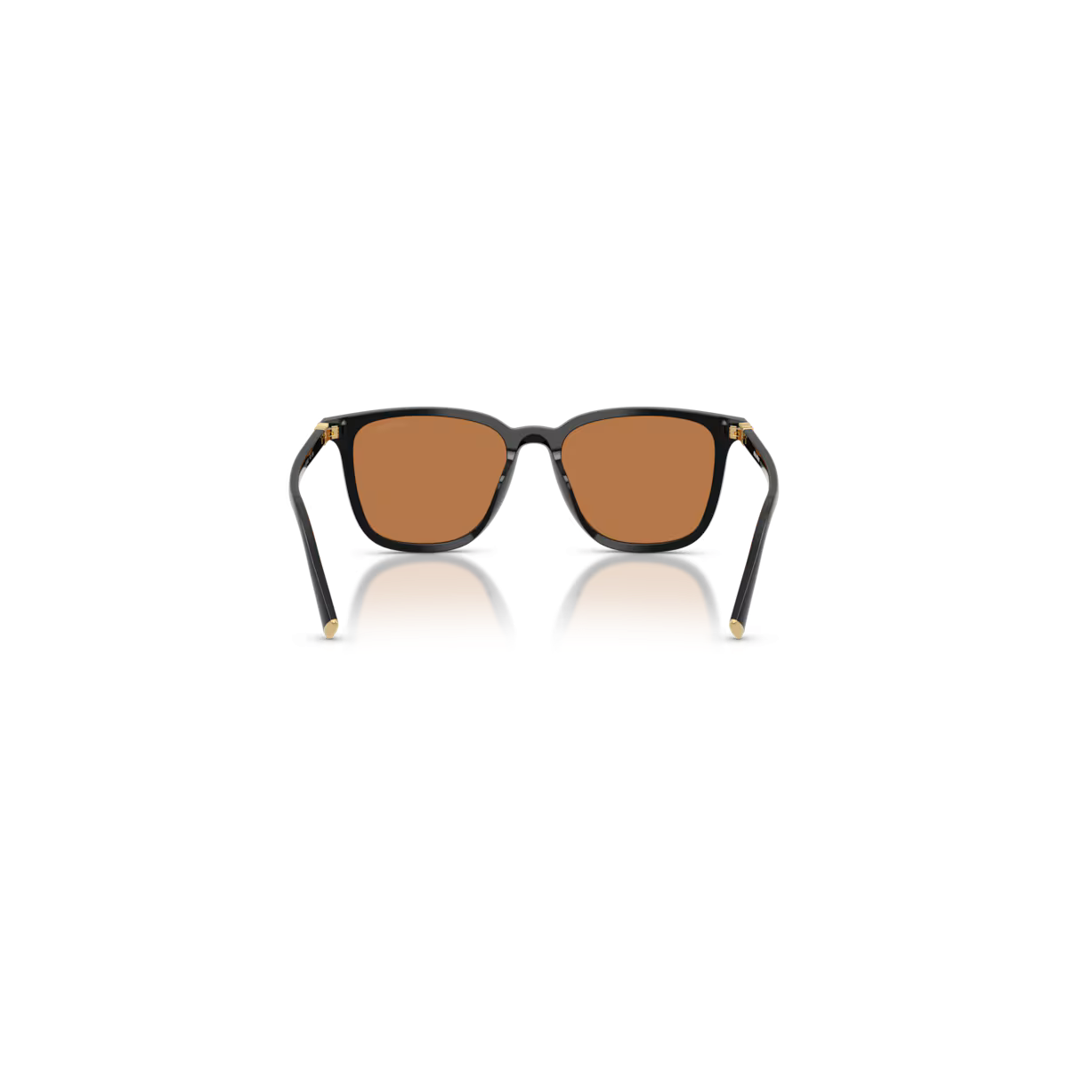 Occhiali da Sole MIU MIU 0MU B03S - 16K90Q Nero - Marrone| B&M Optikal