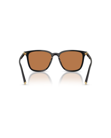Occhiali da Sole MIU MIU 0MU B03S - 16K90Q Nero - Marrone| B&M Optikal